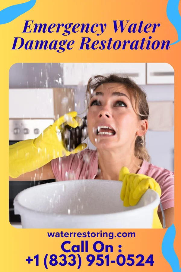 Emergency Water Damage Restoration in Kermit, TX