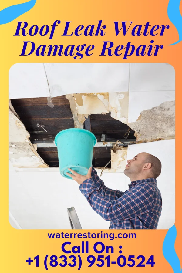 Roof Leak Water Damage Repair in Kermit, TX